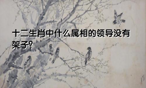 十二生肖中什么属相的领导没有架子？