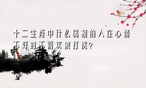 十二生肖中什么属相的人在心情不好时不喜欢被打扰？