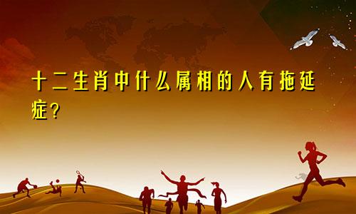 十二生肖中什么属相的人有拖延症？