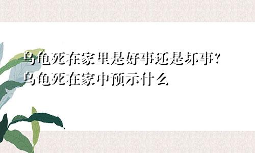 乌龟死在家里是好事还是坏事?乌龟死在家中预示什么