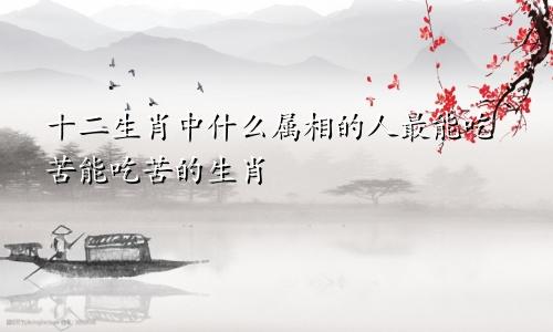 十二生肖中什么属相的人最能吃苦能吃苦的生肖
