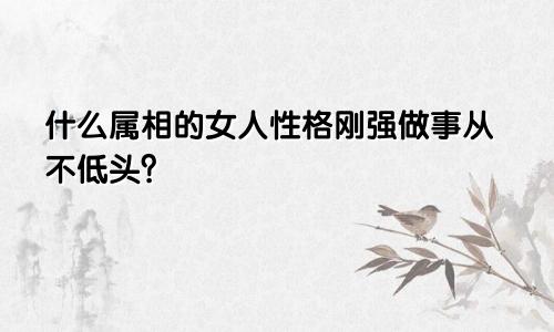 什么属相的女人性格刚强做事从不低头?