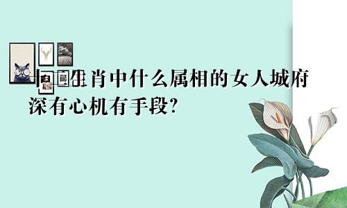 十二生肖中什么属相的女人城府深有心机有手段？