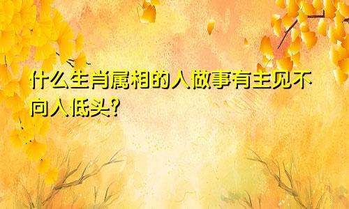 什么生肖属相的人做事有主见不向人低头？
