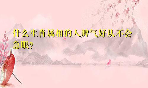 什么生肖属相的人脾气好从不会急眼?