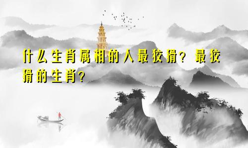 什么生肖属相的人最狡猾?最狡猾的生肖?