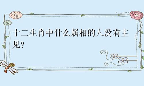 十二生肖中什么属相的人没有主见?
