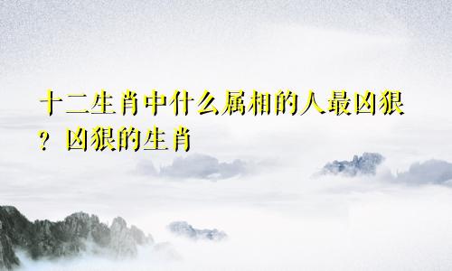 十二生肖中什么属相的人最凶狠?凶狠的生肖