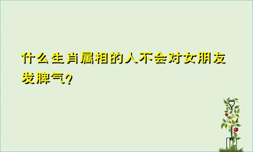 什么生肖属相的人不会对女朋友发脾气?