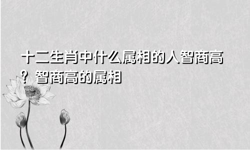 十二生肖中什么属相的人智商高?智商高的属相