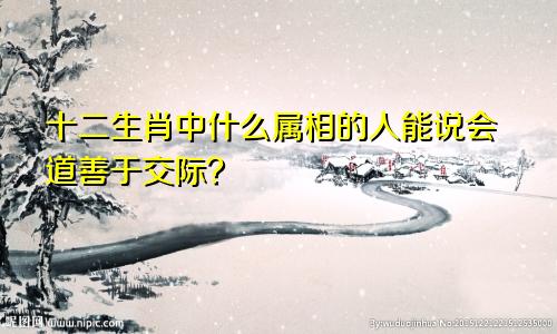 十二生肖中什么属相的人能说会道善于交际?