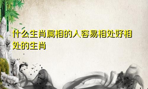 什么生肖属相的人容易相处好相处的生肖