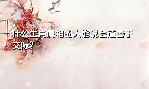 什么生肖属相的人能说会道善于交际？