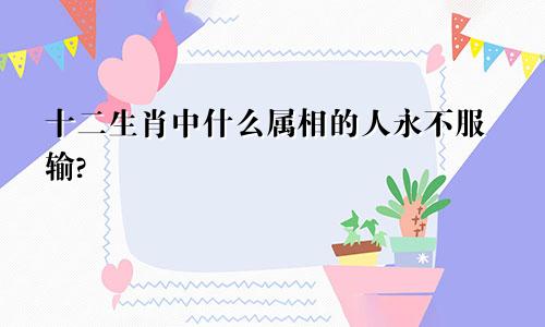 十二生肖中什么属相的人永不服输?