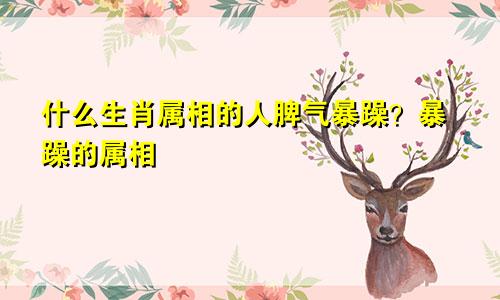 什么生肖属相的人脾气暴躁？暴躁的属相