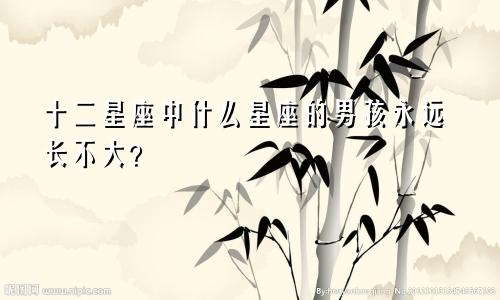 十二星座中什么星座的男孩永远长不大?