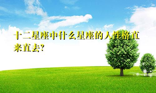 十二星座中什么星座的人性格直来直去?