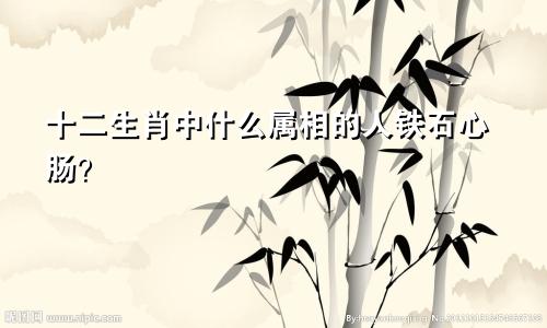 十二生肖中什么属相的人铁石心肠?