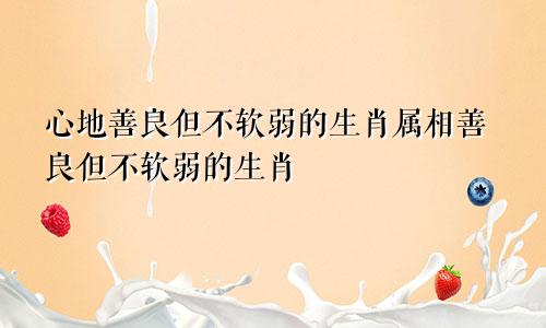 心地善良但不软弱的生肖属相善良但不软弱的生肖