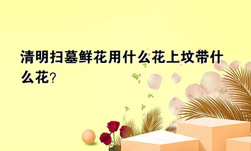 清明扫墓鲜花用什么花上坟带什么花？