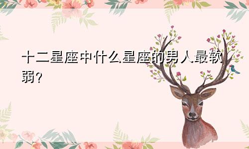 十二星座中什么星座的男人最软弱？