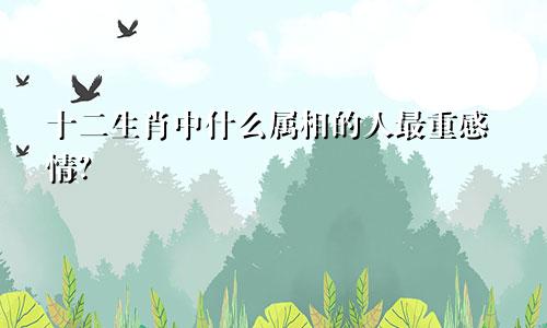 十二生肖中什么属相的人最重感情?