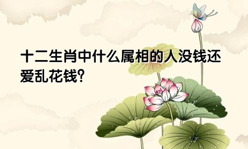 十二生肖中什么属相的人没钱还爱乱花钱?