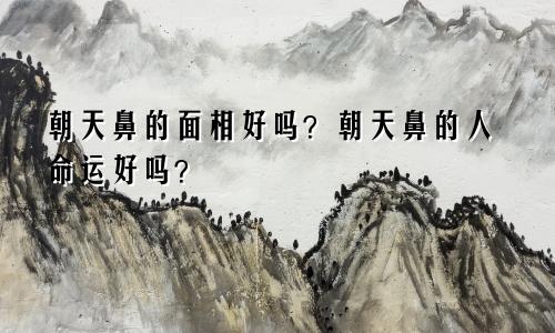 朝天鼻的面相好吗?朝天鼻的人命运好吗?