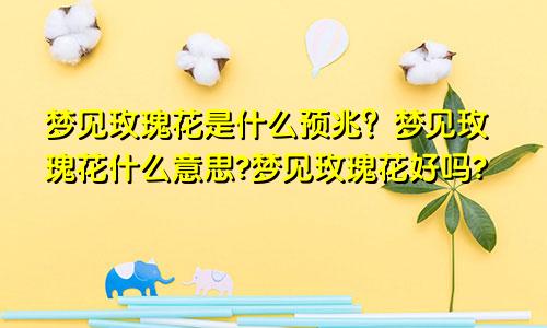 梦见玫瑰花是什么预兆？梦见玫瑰花什么意思?梦见玫瑰花好吗?