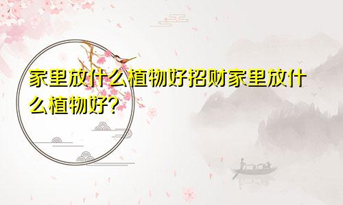 家里放什么植物好招财家里放什么植物好?