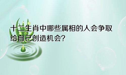 十二生肖中哪些属相的人会争取给自己创造机会?