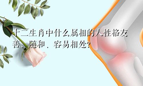 十二生肖中什么属相的人性格友善、随和、容易相处?