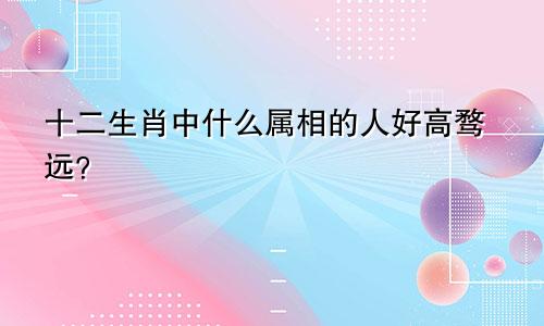 十二生肖中什么属相的人好高骛远?