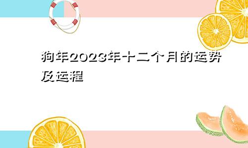 狗年2023年十二个月的运势及运程