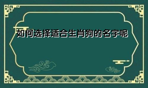 如何选择适合生肖狗的名字呢