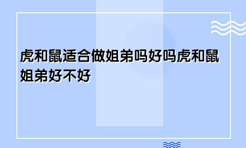 虎和鼠适合做姐弟吗好吗虎和鼠姐弟好不好