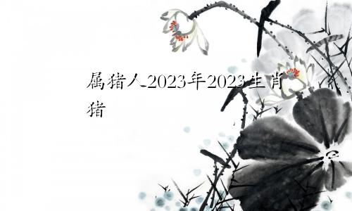属猪人2023年2023生肖猪