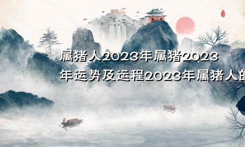 属猪人2023年属猪2023年运势及运程2023年属猪人的全年每月运势