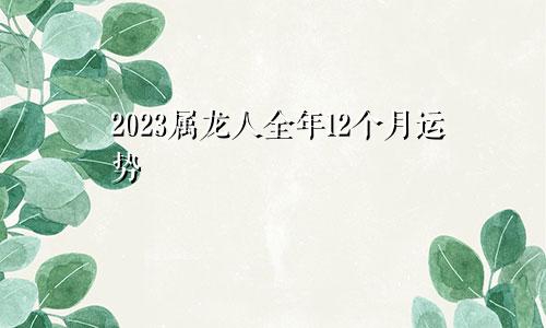 2023属龙人全年12个月运势