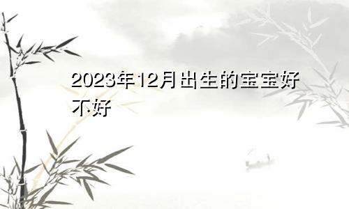 2023年12月出生的宝宝好不好
