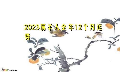 2023属羊人全年12个月运势