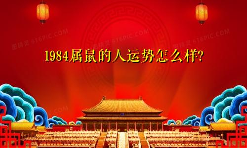 1984属鼠的人运势怎么样?