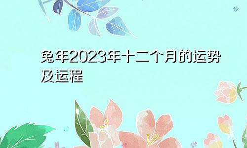 兔年2023年十二个月的运势及运程