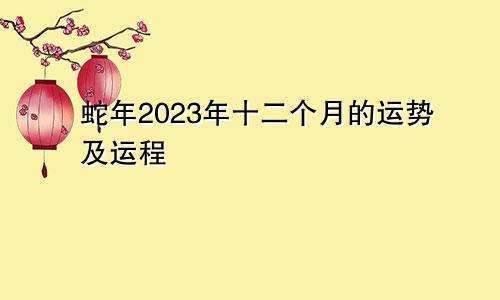 蛇年2023年十二个月的运势及运程