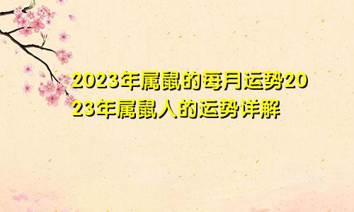2023年属鼠的每月运势2023年属鼠人的运势详解