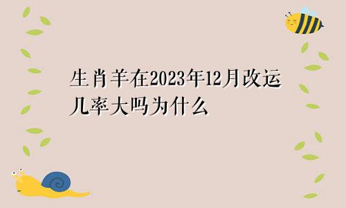生肖羊在2023年12月改运几率大吗为什么