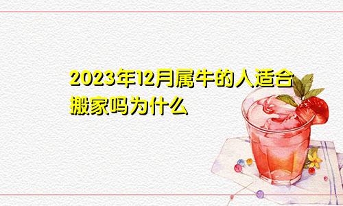 2023年12月属牛的人适合搬家吗为什么