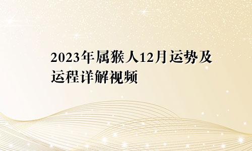 2023年属猴人12月运势及运程详解视频