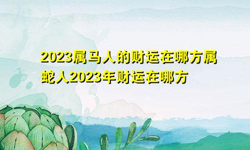 2023属马人的财运在哪方属蛇人2023年财运在哪方