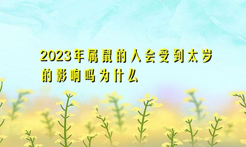 2023年属鼠的人会受到太岁的影响吗为什么